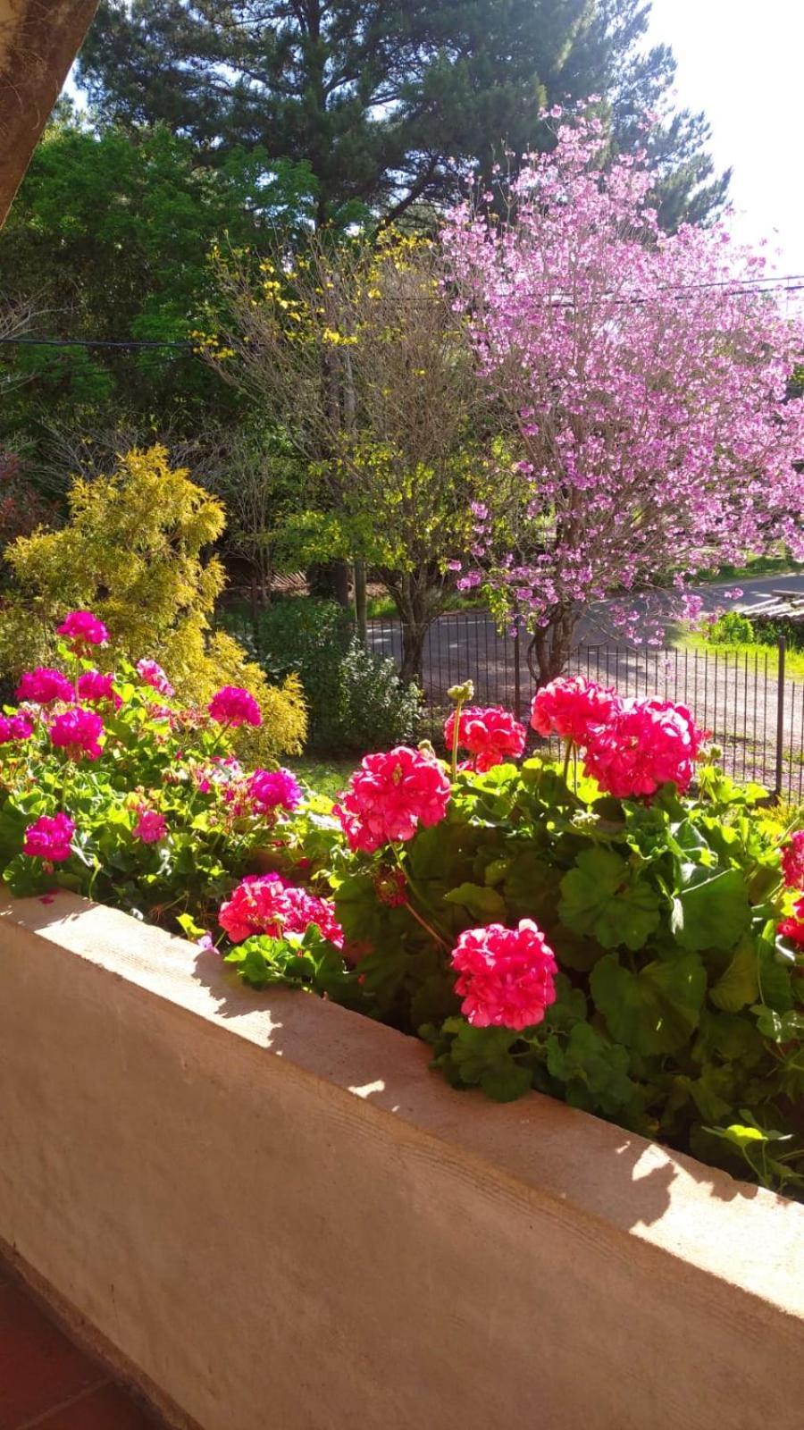 La Casona Del Lago Balneario Ipora Esterno foto